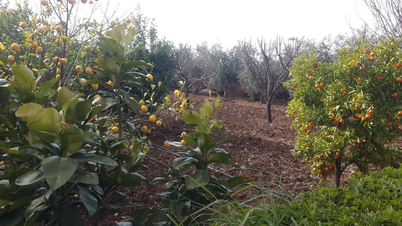 Kasbah Atfel Maison d'hôtes